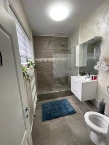 a bathroom with a toilet and a sink and a shower at Casa Di David in Buzău