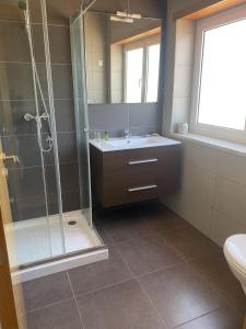 uma casa de banho com um lavatório, um chuveiro e um WC. em Chez Ilda - Casa da Ilda Alojamento Local 