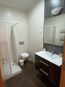 La salle de bains est pourvue d'un lavabo, de toilettes et d'un miroir. dans l'établissement Chez Ilda - Casa da Ilda Alojamento Local, 