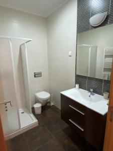 une salle de bain avec un lavabo, des toilettes et un miroir dans l'établissement Chez Ilda - Casa da Ilda Alojamento Local, à Folhadal 10 autres photos