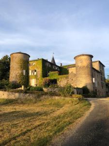an old castle with two towers on a road at Chateau de Montcuquet in Lautrec