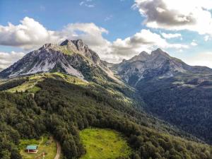 an aerial view of a mountain with trees and a house at Mountain House Komovi-Radunovic in Andrijevica