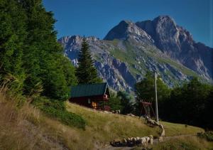 a herd of sheep standing on a hill next to a cabin at Mountain House Komovi in Andrijevica