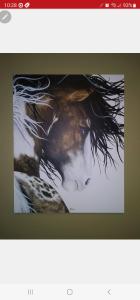 a picture of a horse with long hair at Mountain View Lodging Cody in Cody +62 photos