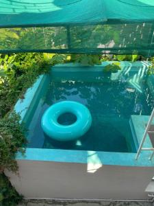 a swimming pool with a blue toilet in it at Hotel Bigu in Puerto Escondido