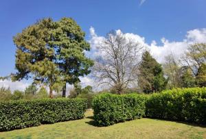 a row of hedges in a park with a tree at Our Place-at-Notties Self-contained 2-Bed unit in Notties in Nottingham Road