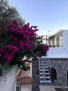 Un árbol con flores púrpuras junto a una escalera en Villa Kamari- Stunning Views, en Kritsá