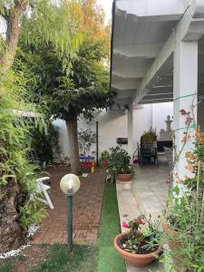 a patio with plants and a tree in a house at Villa G55C RosaMarina in Rosa Marina