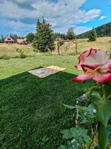 Zahrada ubytování Apartmani ZELENI MEDA