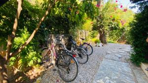 a group of bikes parked next to some trees at Villa Yasemin Aparts in Göcek