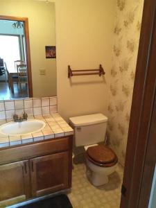 een badkamer met een toilet, een wastafel en een spiegel bij Greene in Bass Lake