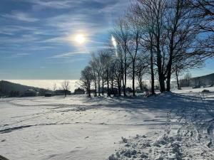 un campo cubierto de nieve con árboles y el sol en el cielo en Chata VISTA Strážné, en Strážné