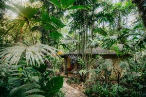 Zahrada ubytování Arahuana Jungle Resort & Spa