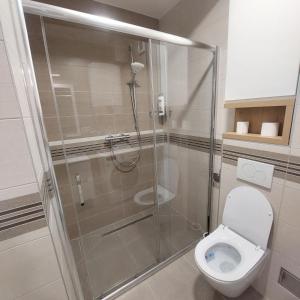 a bathroom with a shower and a toilet at Apartment Mb lux 2 in Bijeljina