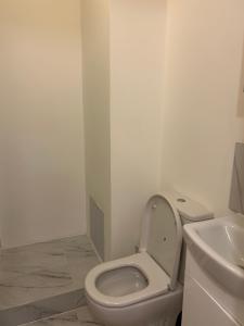 La salle de bains blanche est pourvue de toilettes et d'un lavabo. dans l'établissement Victoria, à Londres