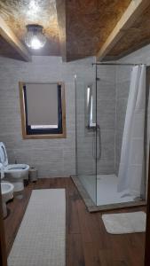 La salle de bains est pourvue d'une douche en verre et de toilettes. dans l'établissement Casa Tia Vina, à Arouca