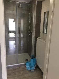 a shower with a glass door in a bathroom at Appartment Simmertal in Simmertal