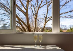 duas taças de champanhe sentadas em frente a uma janela em Pamiers gare - 2 Appartements à louer ou Chambre parentale indépendante em Pamiers