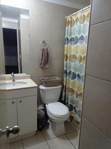 a bathroom with a toilet and a shower curtain at Céntrico Departamento en Santiago in Santiago