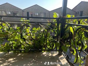 a black iron fence with green plants on it at Z Narek in Elar