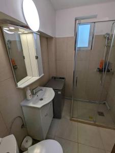 a bathroom with a toilet and a shower and a sink at Cozy Modern Apartment Km 0 Craiova in Craiova
