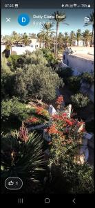 a view of a garden with plants and trees at Mille & une nuit in Al Maqārisah