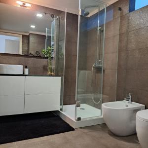 een badkamer met een douche, een toilet en een wastafel bij Casa da Praça in Miranda do Douro