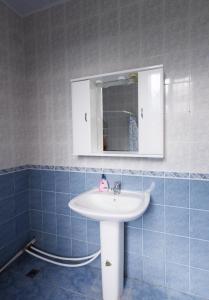 La salle de bains est pourvue d'un lavabo blanc et d'un miroir. dans l'établissement Yan's House, à Alaverdi