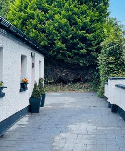 um pátio com vasos de plantas ao lado de um edifício em River Cottage em Mullingar