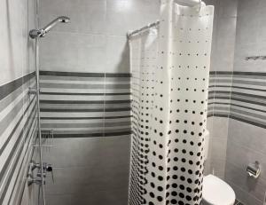 La salle de bains est pourvue d'une douche et de toilettes. dans l'établissement New studio apartment with separate kitchen in center of Ruma, à Ruma