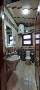 uma casa de banho com um lavatório e um WC em El mansoura Heaven em Bandar al Manşūrah