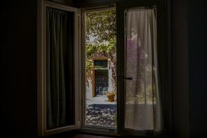 an open glass door with a view of a yard at MONOLOCALE CASENUOVE con GIARDINO in Castiglioncello