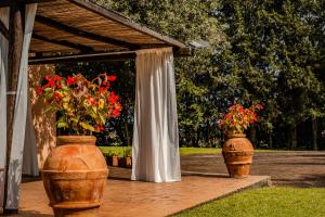 two large vases with flowers in them on a patio at MONOLOCALE CASENUOVE con GIARDINO in Castiglioncello
