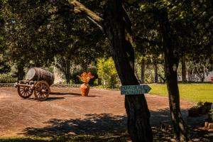 a vase and a horse drawn carriage next to a tree at MONOLOCALE CASENUOVE con GIARDINO in Castiglioncello