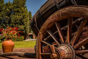 a wooden wheel with a vase of flowers in a yard at MONOLOCALE CASENUOVE con GIARDINO in Castiglioncello