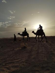 two people are riding camels in the desert at Sahara Desert Trips & Camps in Merzouga
