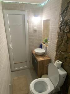 La salle de bains est pourvue de toilettes blanches et d'un lavabo. dans l'établissement Casa cu șindrilă, à Vălenii de Munte