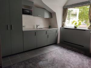 Kuchyň nebo kuchyňský kout v ubytování B&B Hotel Elselina