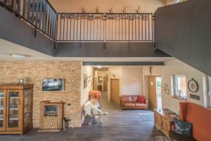 a dog walking through a living room with a staircase at Landhotel und Gasthof Hirsch Hüttenreute in Hoßkirch