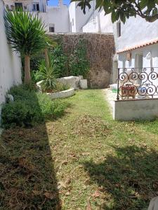 a yard with a fence and some plants at Casa James in Vejer de la Frontera