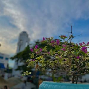 Zahrada ubytování El santorini colombiano cabaña