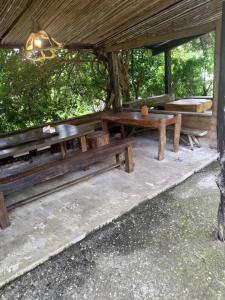 a group of wooden benches sitting under a shelter at 愛上龍過脈民宿 in Ch'u-lu