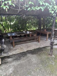 zwei Holzbänke unter einem Pavillon mit einem Baum in der Unterkunft 愛上龍過脈民宿 in Ch'u-lu