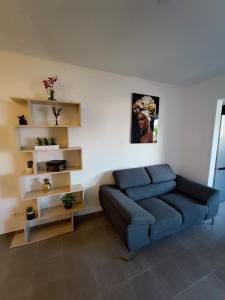 sala de estar con sofá azul y estanterías en Appartement Clos du bois en Fort-de-France