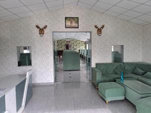 - une salle d'attente avec des canapés verts et un miroir dans l'établissement GREEN VALLEY SARISKA, à Tehla