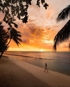 una persona caminando por la playa al atardecer en Moorea Island Beach Hotel, en Moorea