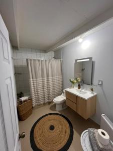 a bathroom with a toilet and a sink and a shower at Casa Andes in San Pedro de Atacama