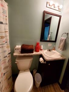 Phòng tắm tại Big Barbee Lake House