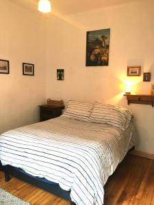 a bedroom with a bed in a room at Indigo Guest House in Mexico City