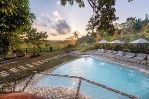 una piscina en un patio con tumbonas y sombrillas en The Hillside Resort Siargao en General Luna